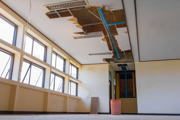 Best Water damage mitigation services  in Independence, KY