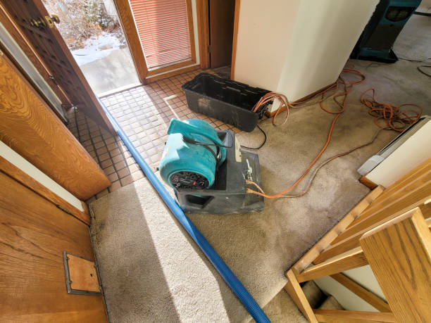  Independence, KY Water damage restoration Pros