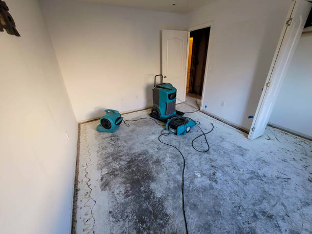 Best Water damage restoration cost  in Independence, KY