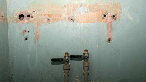 Best Water damage restoration specialists  in Independence, KY